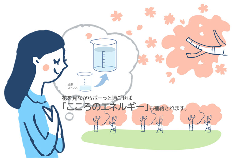夏目誠 マコマコ通信 桜と菜の花 こころのエネルギー